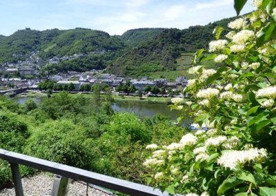 2te Terrasse unten zu sehen