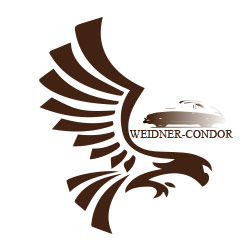 Google-logo-weidner-Condor